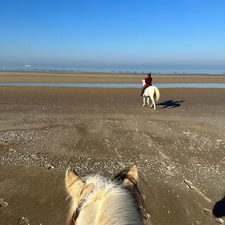 Ferme Equestre Oye-Plage