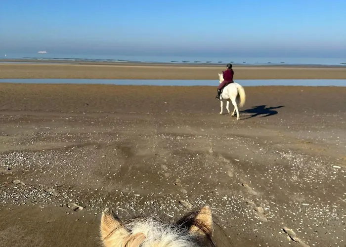 Ferme Equestre Oye-Plage